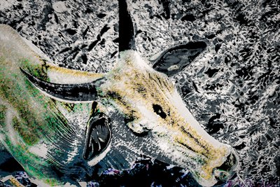 レース前、2020年（ペイント写真） 作： Alice Gur-Arie