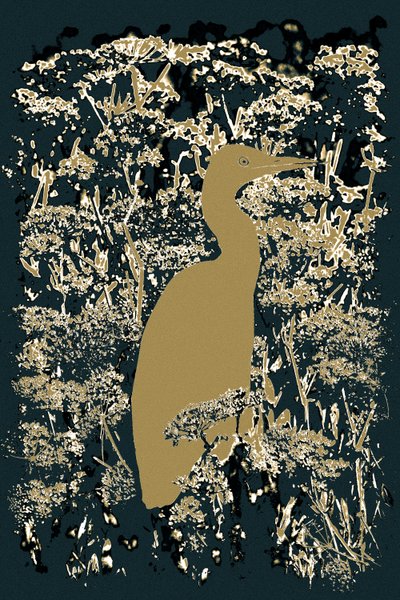 ロイヤルイグレット、2015年（写真） 作： Alice Gur-Arie