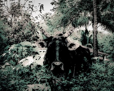 2020年、ペリヤール近くのロッジ（ペインティング写真） 作： Alice Gur-Arie