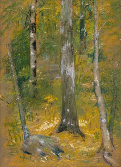 オンテオラ 作： Alice Pike Barney