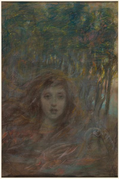 森を通じたビジョン 作： Alice Pike Barney