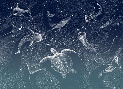 宇宙の海洋生物 作： 