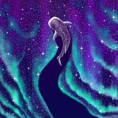 天のジンベエザメ 作： 