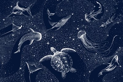 宇宙の海の生き物たち 作： 