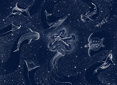 コズミック・オーシャン・ドリーム 作： 