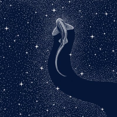 コズミック・シャーク 作： 