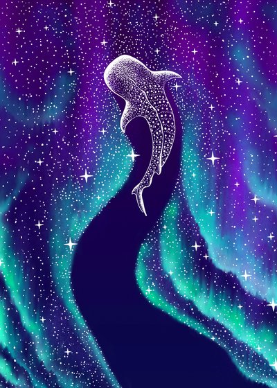 オーロラ・ホエールシャーク 作： 