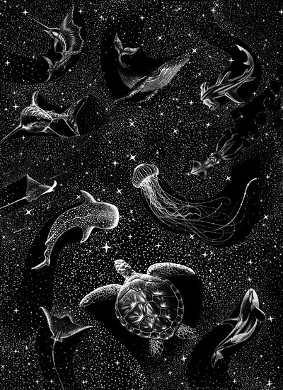 星空の下の海の生き物たち 作： 