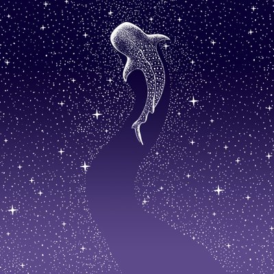 スターイーター ダークブルーからパープルへのグラデーション 作： 