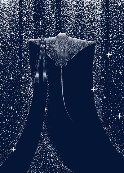 『スターリット・レイ・コンパニオン』 作： 