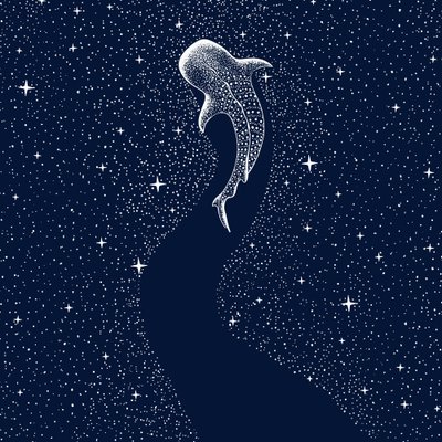 星模様のジンベエザメ 作： 