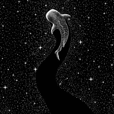 星空とジンベエザメの旅 作： 