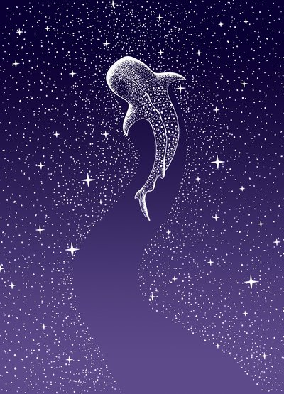 ジンベエザメと泳ぐ 作： 