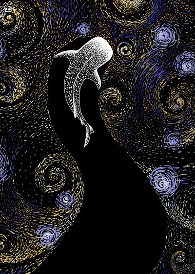 ジンベエザメの星降る夜 作： 