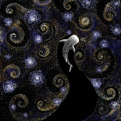 ジンベエザメの星降る夜 作： 