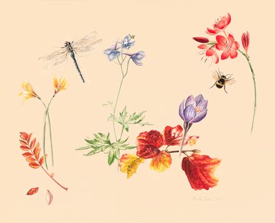 秋の花と虫たち 作： Alison Cooper