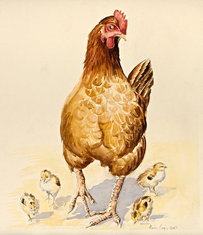 ジョージの雌鶏と彼女の雛2007年 作： Alison Cooper