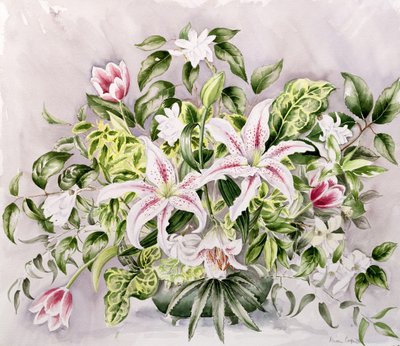 リリーのある静物、1996 作： Alison Cooper