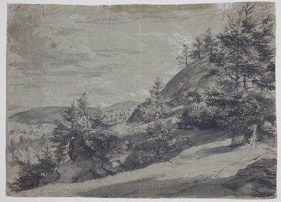 起伏のある風景 作： Allaert van Everdingen