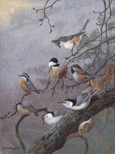 アラン・ブルックス作「バード・ミックス」 作： 