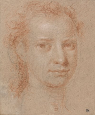 若い女性または男性の頭 作： Allan Ramsay