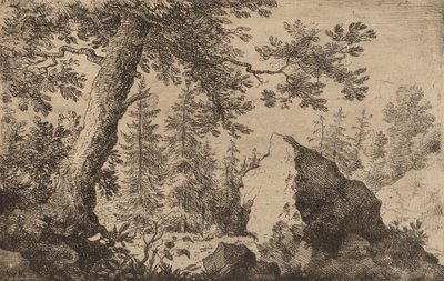 森の中のボルダー、おそらくc。 16451656。 作： Allart van Everdingen