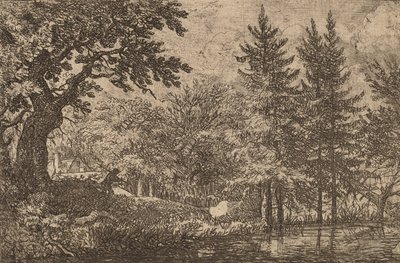 水辺のモミの木、おそらくc。 16451656。 作： Allart van Everdingen