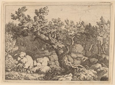 大きな木の近くのスポーツマン、おそらく c. 16451656。 作： Allart van Everdingen