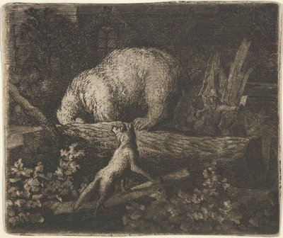 鼻と前足を木の幹に引っ掛けたクマ、17 世紀半ば。 作： Allart van Everdingen