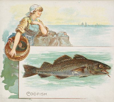 1889年、Allen & Ginter CigarettesのFish from American WatersシリーズN39からのタラ。 作： Allen and Ginter