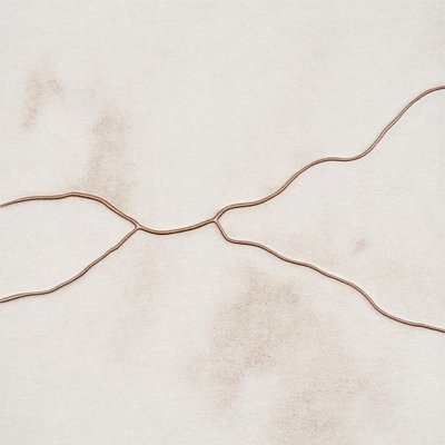 繊細なオーガニック・フロー 作： Alma