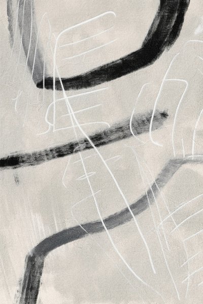 ダイナミックな抽象的な曲線 作： Alma