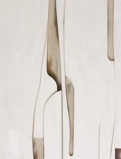 有機的な抽象的な形態 作： Alma