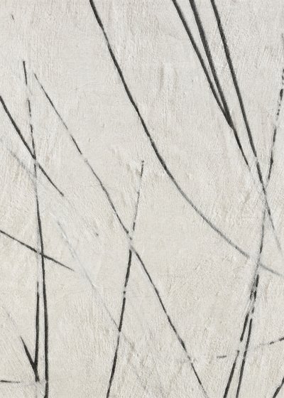 オーガニック・ラインズの質感 作： Alma