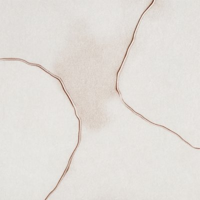 柔らかな流体のようなフォルム 作： Alma