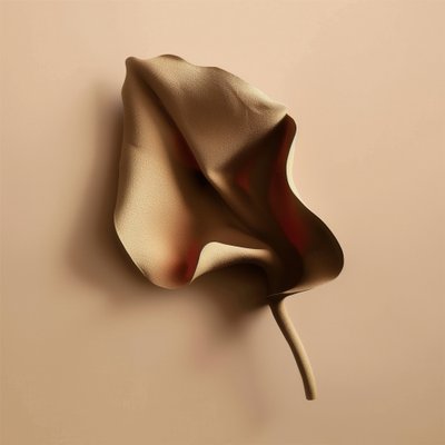 柔らかな有機的なフォルム 作： Alma