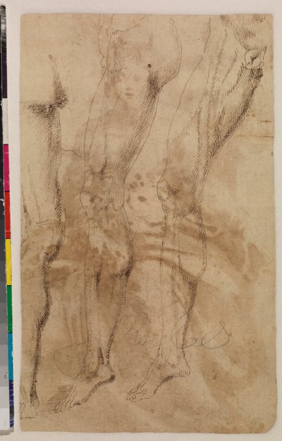 男性の脚の 3 つの習作 (裏面) 1537 年頃 (紙にペンと茶色のインク) [5948317 を参照] 作： Alonso (workshop of) Berruguete