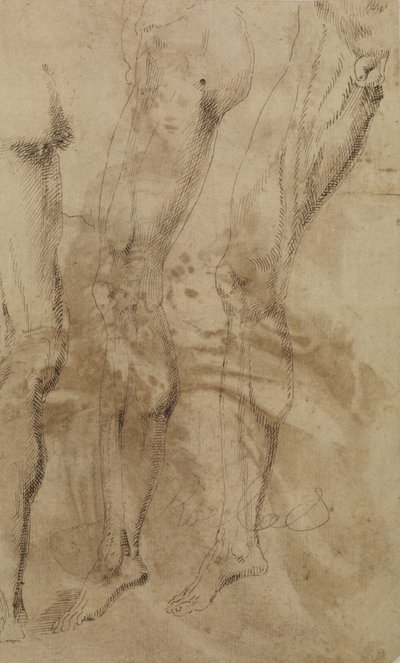 男性の脚に関する3つの研究、1637年頃 作： Alonso Berruguete