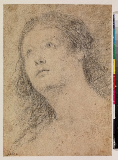 見つめる女性の頭部（直腸） 作： Alonso Miguel de Tovar