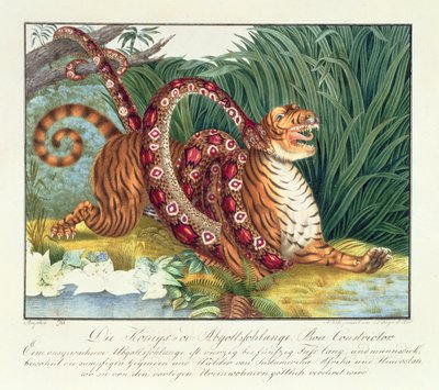 タイガーとボアのコンストリクター、1835 作： Aloys Zötl