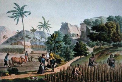 グアム島。ポメルが1825年に出版した「Voyage Autour du Monde sur les Corvettes de L