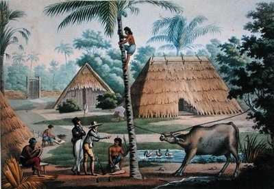 東ティモール・クーパン周辺の眺め（ポメル作、1825年発行の「Voyage Autour du Monde sur les Corvettes de L