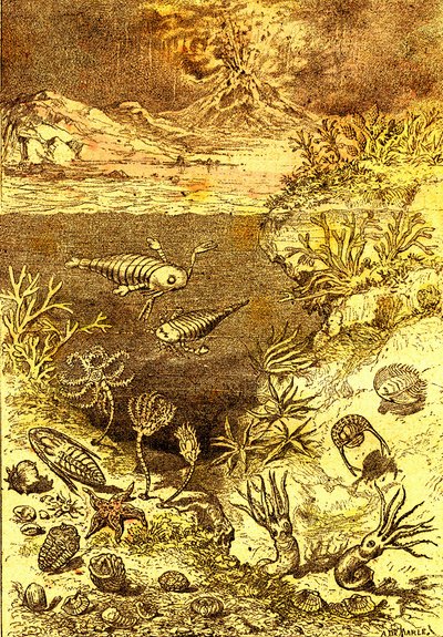 先史時代-シルル紀の終わり：自然創造と生物（J.レンガデ）A.デマールを描く。1885 作： Alphonse Demarle