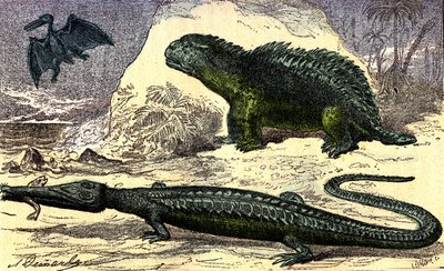 先史時代 - ジュラ紀：テレオサウルスとハイレオサウルス。二階の翼竜。自然創造と生物。A.デマールによるデッサン。1885 作： Alphonse Demarle