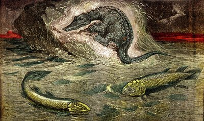 魚類から爬虫類への移行：プロテオサウルス（上）魚類から爬虫類へ、石炭の時代。左下がホロプティキウス、右がロステオレピス。1885.自然創造と生物。A.デマールを描く 作： Alphonse Demarle