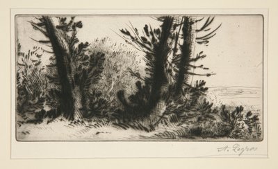 トラバースチャンピオン（アクロスカントリー） 作： Alphonse Legros
