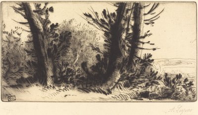 Across Country A トラバーズ チャンピオン。 作： Alphonse Legros