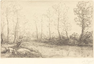 白樺の木: 朝の光で見られる水の端 白樺の木: 朝の光で見られる水の端。 作： Alphonse Legros