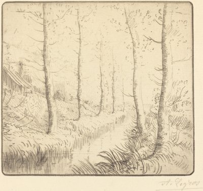 水辺の白樺 作： Alphonse Legros