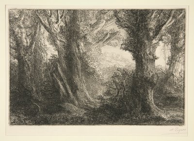 Dans la foret de Conteville (コントヴィルの森で) 作： Alphonse Legros